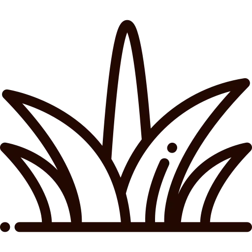 herbe icone.webp