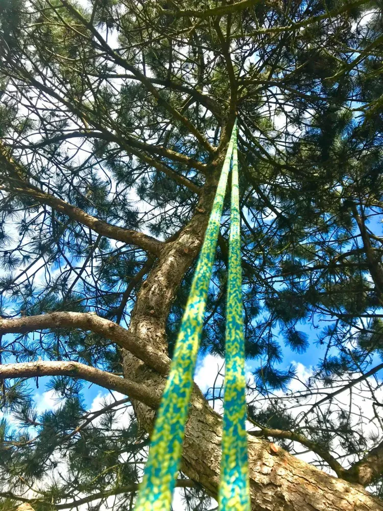 elagage cordiste zone difficile