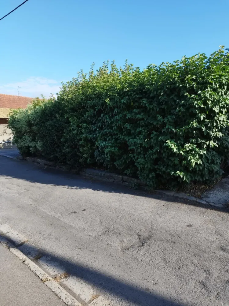 paysagiste-douchy-les-mines-eurovert (9)