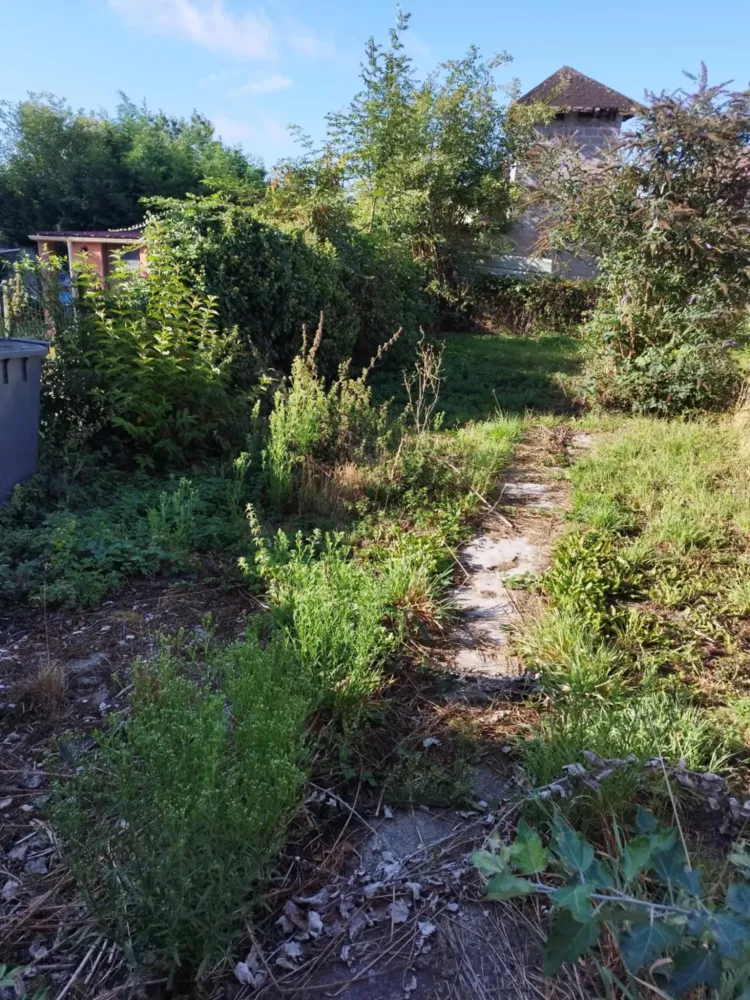 paysagiste-douchy-les-mines-eurovert (15)