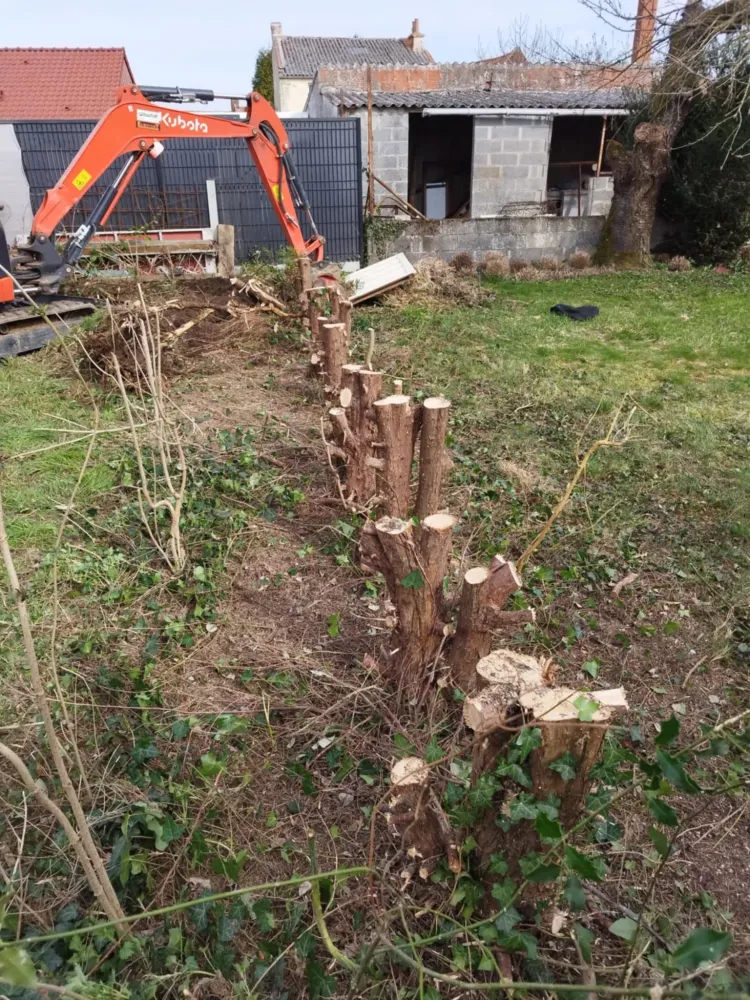 paysagiste-douchy-les-mines-eurovert (2)