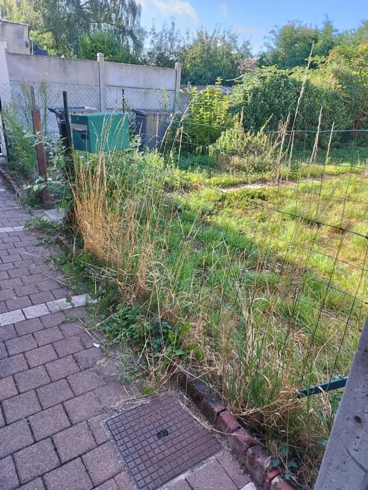 paysagiste-douchy-les-mines-eurovert (18)