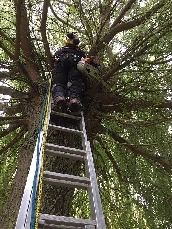 projets-paysagers-eurovert (9)