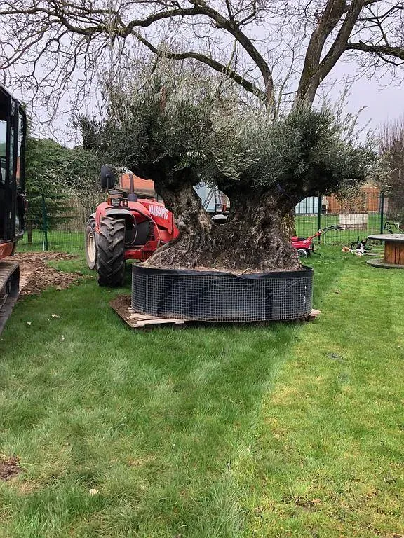 projets-paysagers-eurovert (19)