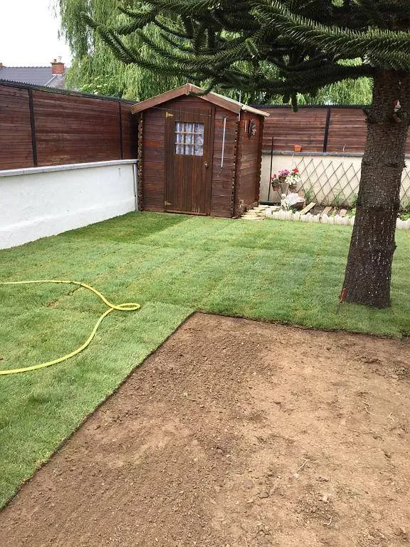 Taille et soin des arbres près de Iwuy